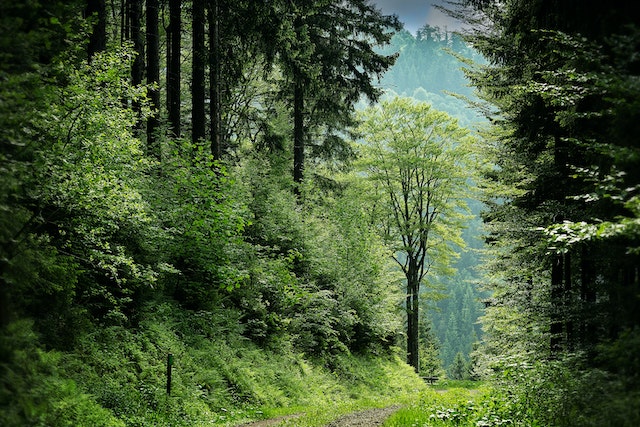 Piani Stralcio per l’Assetto Idrogeologico: Guida Completa e Normative