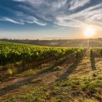 Tutto quello che devi sapere sulla Toscana