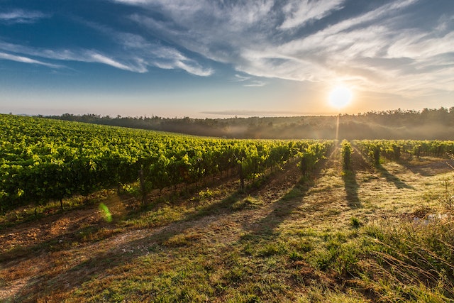 Tutto quello che devi sapere sulla Toscana